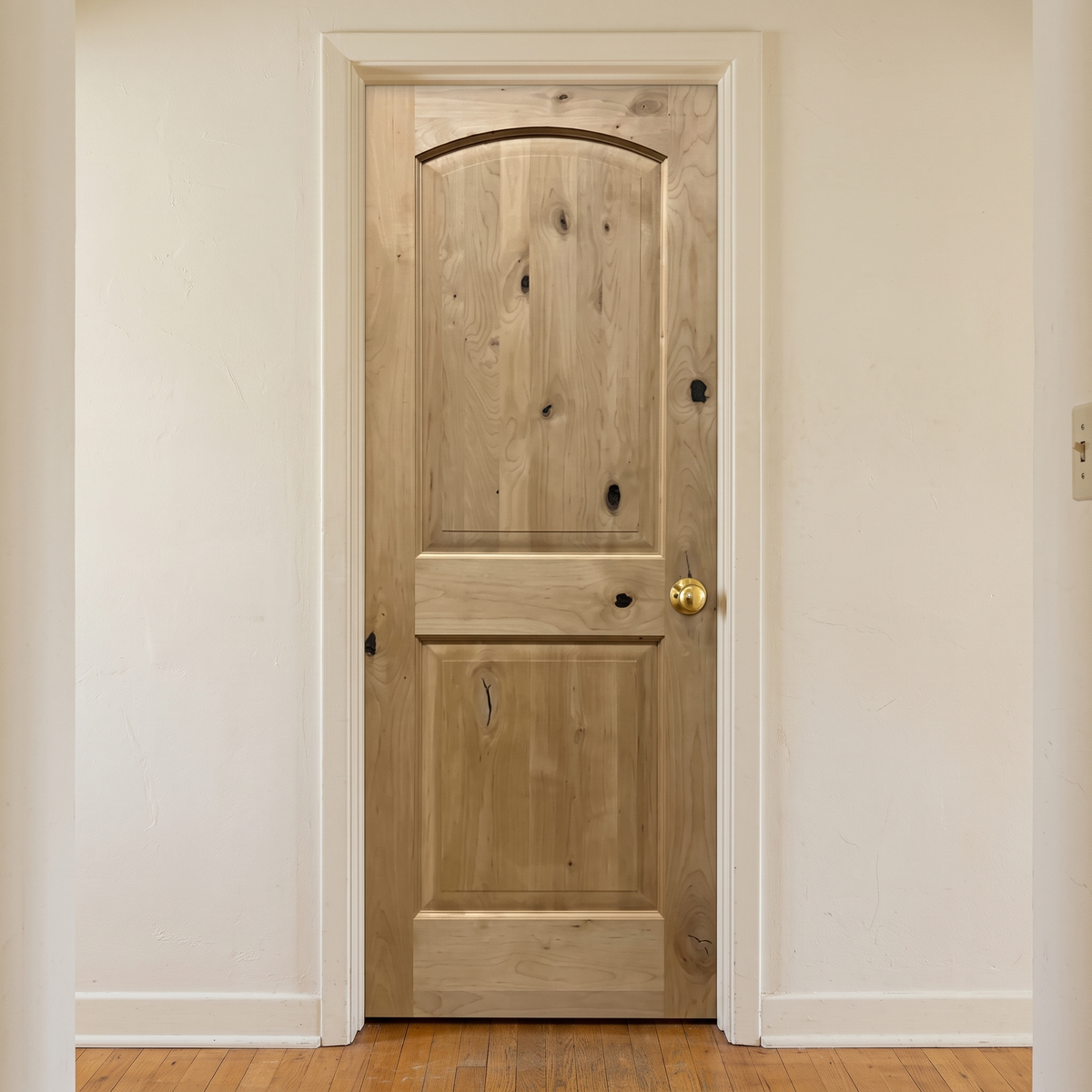 Knotty Alder 2 PNL Raised Arch