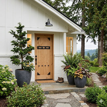 3/0x6/8 Western Knotty Alder Front Door with Clavos